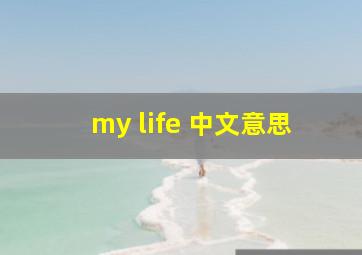 my life 中文意思